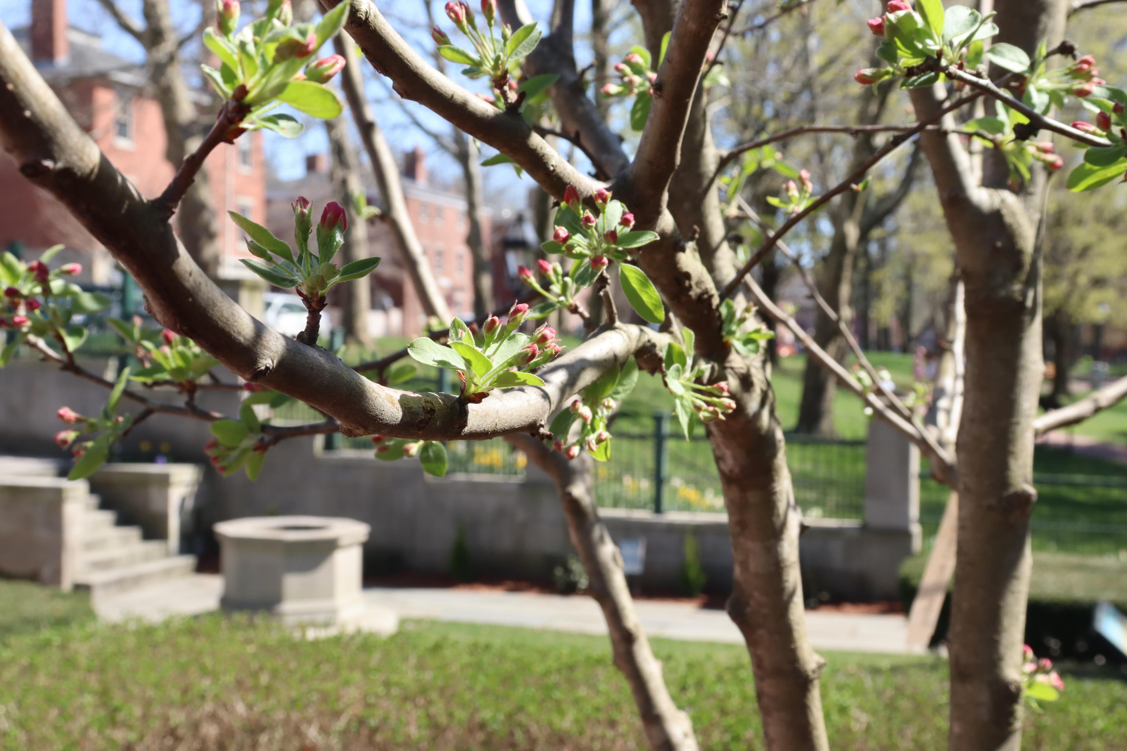 Roger Williams National Memorial