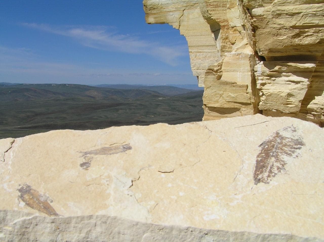 Fossil Butte National Monument