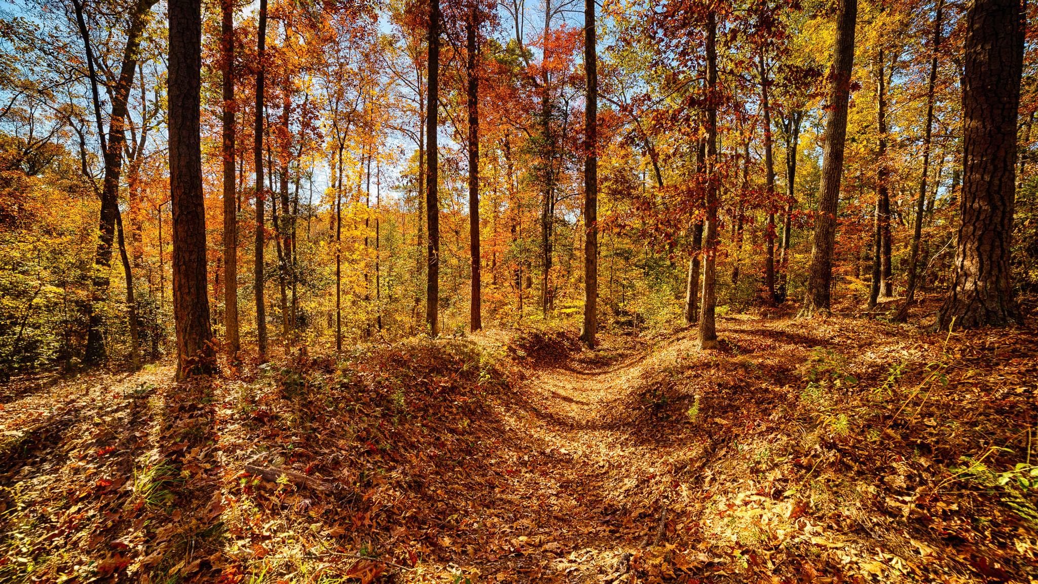 Richmond National Battlefield Park