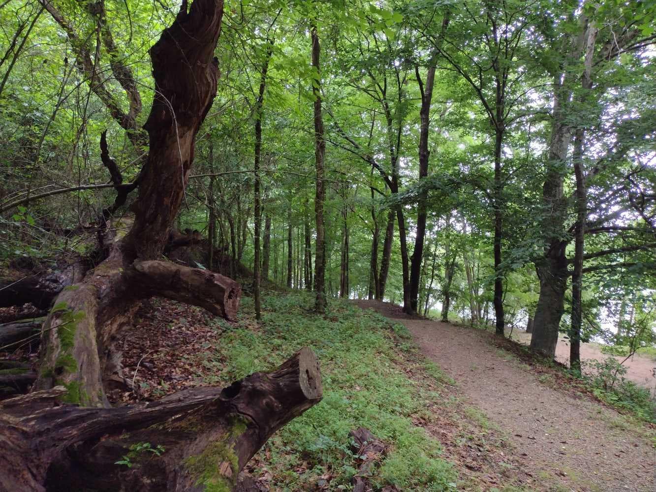 Overmountain Victory National Historic Trail