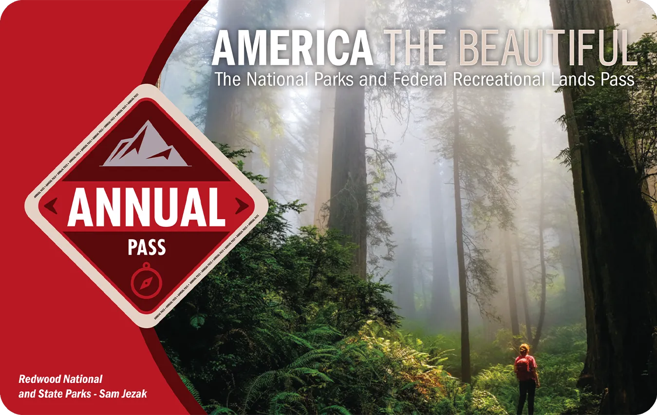 Is the America the Beautiful Pass Worth It? (2026 Math)