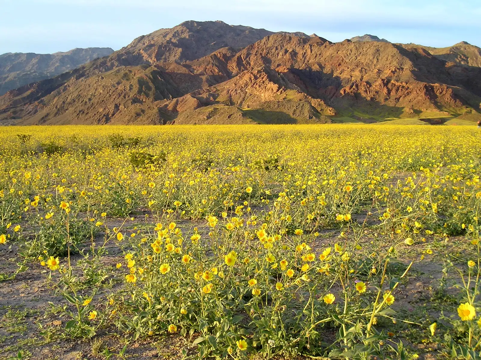 Death Valley 2026: When It’s Actually Safe to Visit
