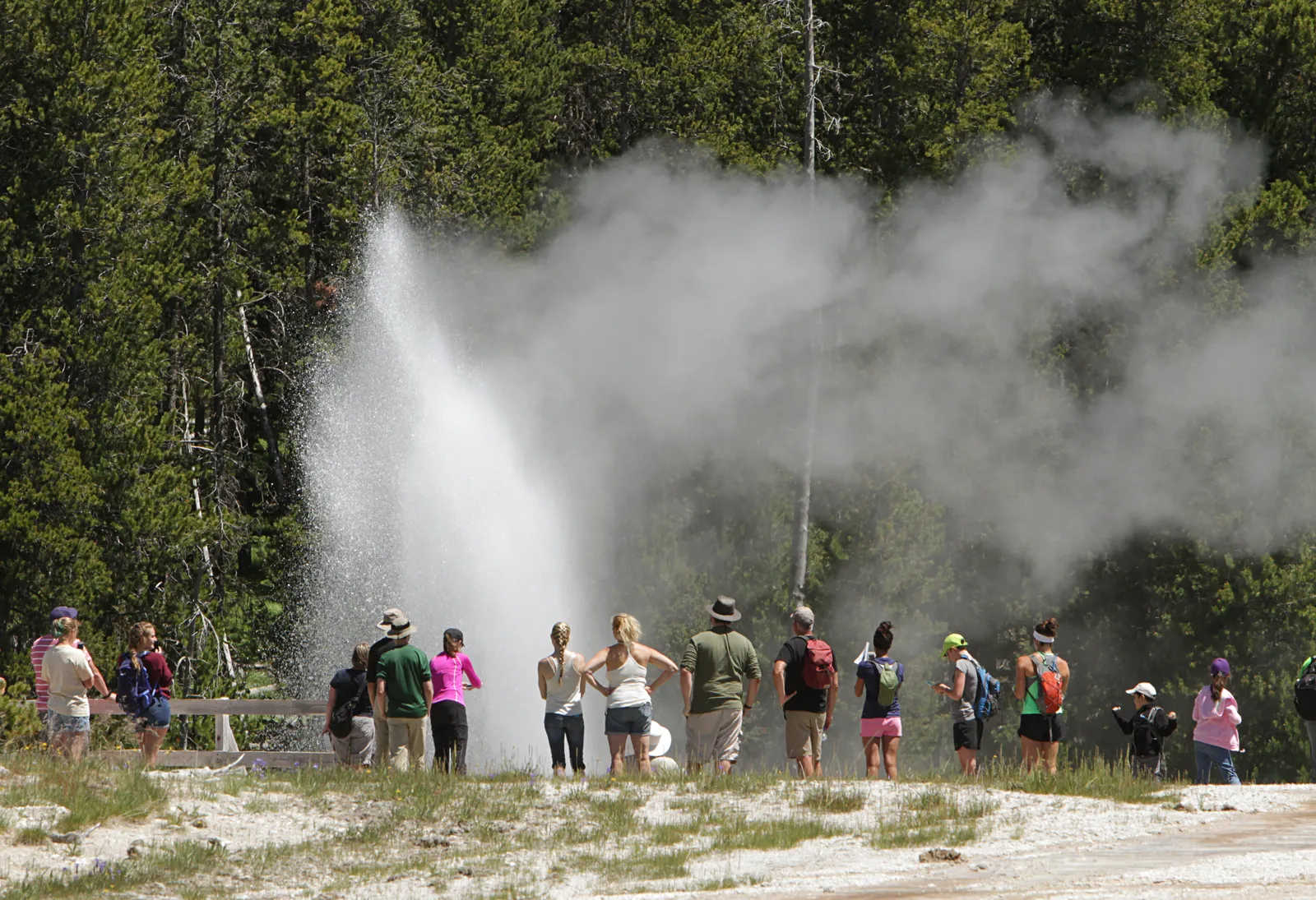 Yellowstone 2026: Timed Entry, Crowds & Planning Guide