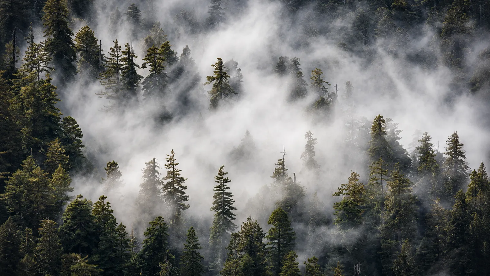 10 Cooler National Parks for August & September 2026